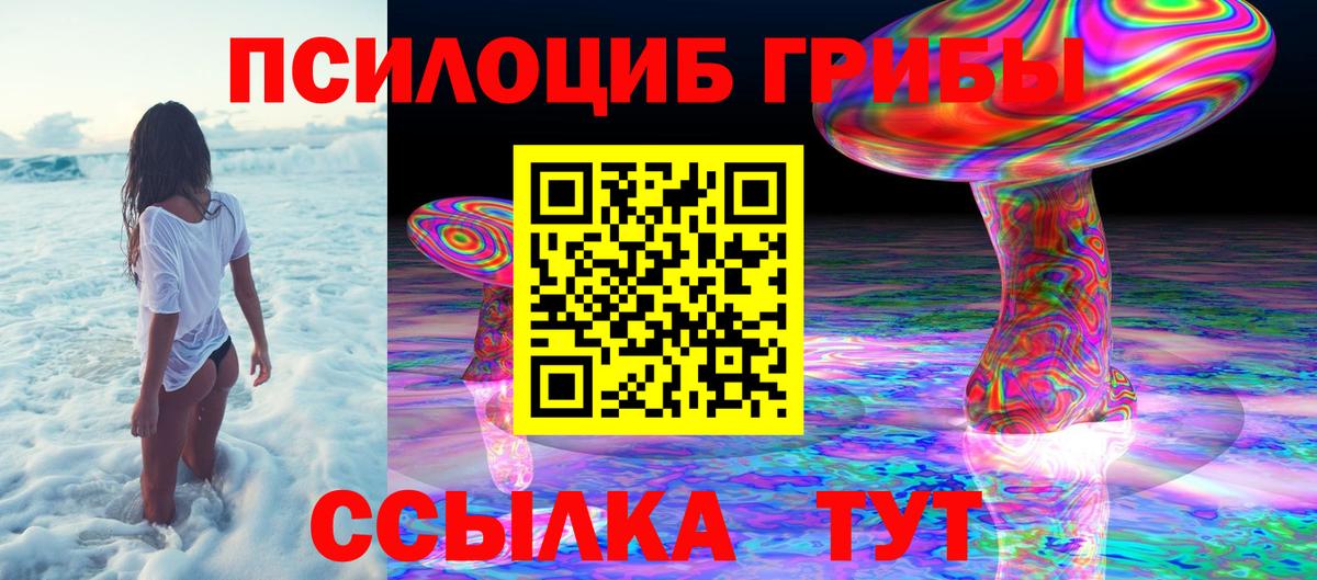 где купить наркоту  Вход с VPN  Урюпинск  Галлюциногенные грибы мицелий  Галлюциногенные грибы Psilocybine cubensis 