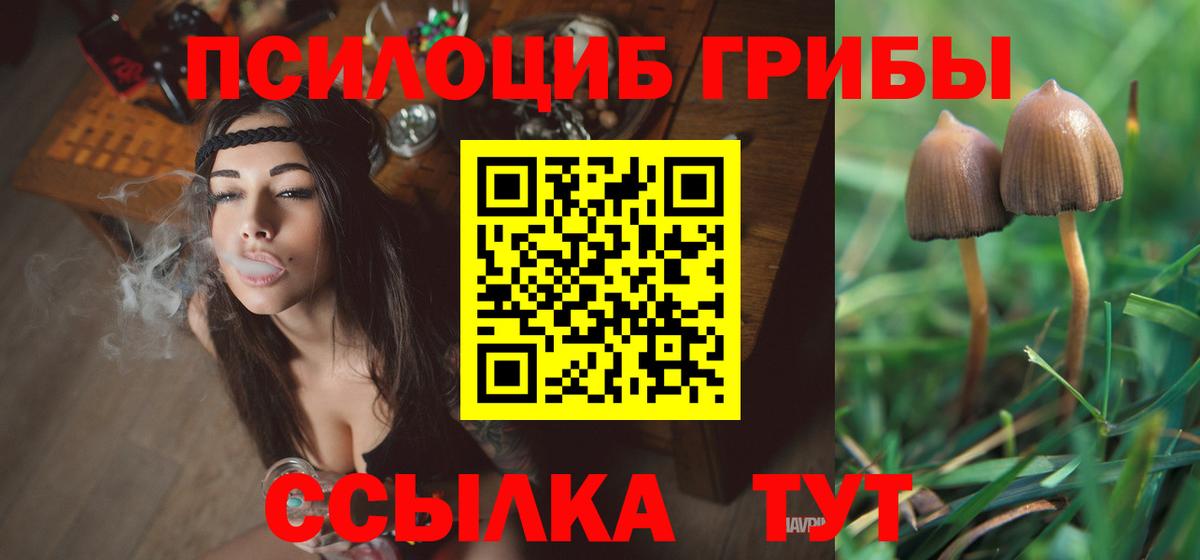 Галлюциногенные грибы GOLDEN TEACHER Урюпинск