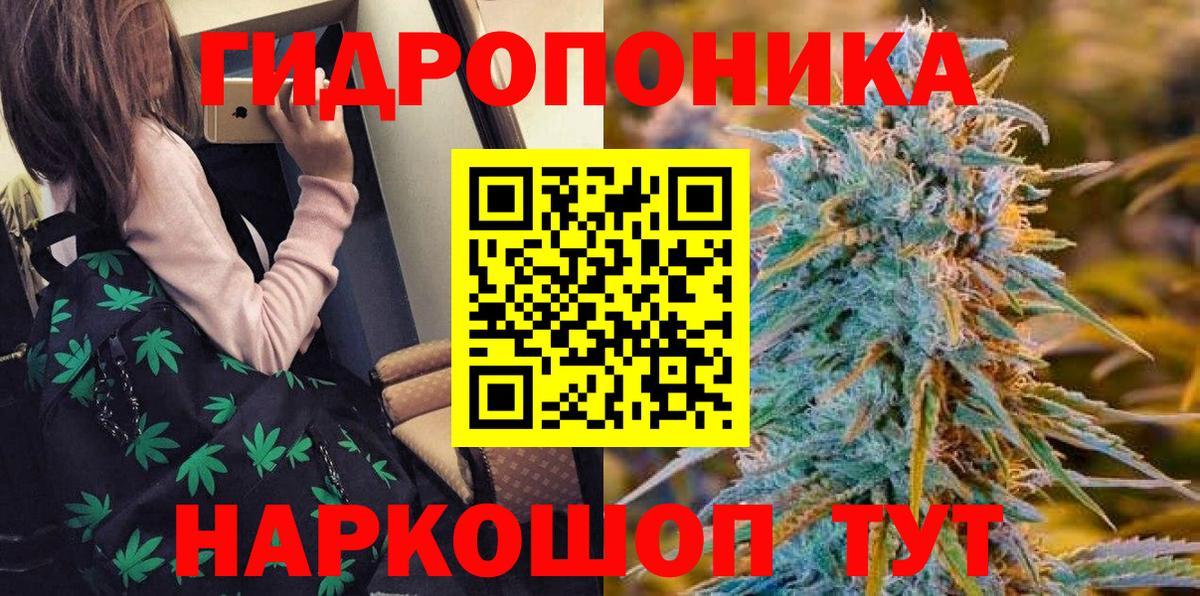 Бошки Шишки планчик  Канабис конопля  Урюпинск  Вход с VPN  Каннабис THC 21% 